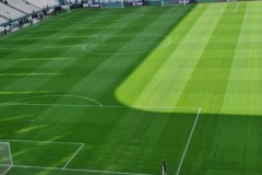 Partite in casa 2024/2025 | Emilia Bianconera JOFC